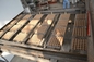 Roterend van de de Machinepulp van Eitray machine waste paper recycling het Papierei Tray Making Machine