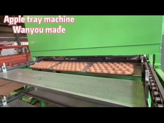 Het Ei Tray Making Machine van Apple van de Papierafvalpulp