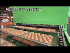 Hoge Efficiëntie Pulp Eierdozen Machine, Fruitbakjes Machine