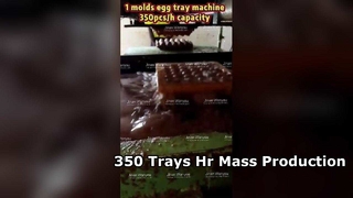 Eiertraymachine 3000 stuks uur massaproductie