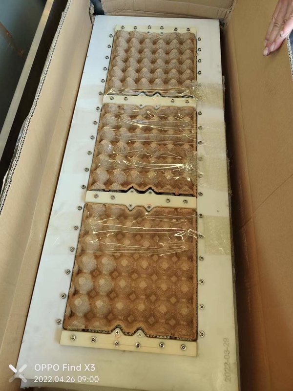 Volledig geautomatiseerde productielijn voor eierkarton met grote capaciteit 3*4