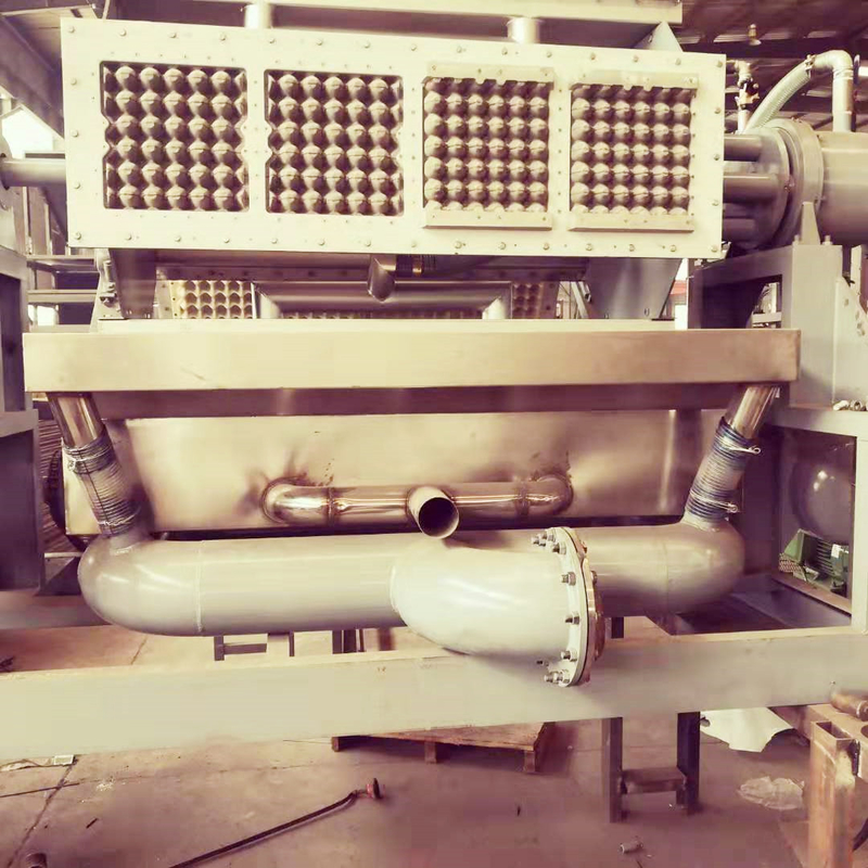 Rotary Paper Egg Tray Machine 2000-3000pcs/H Orange And Green Pulp Molding Machine voor het maken van papieren eiendoosjes/trays