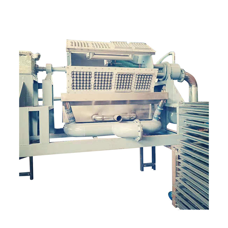 Eco Friendly Egg Carton Making Machine Egg Tray Paper Pulp Molding Machine voor duurzame verpakkingsoplossingen