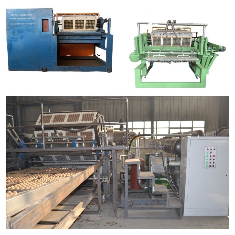 Fast Fully Automatic 4000pcs/h Egg Tray Making Machine Paper Egg Tray Production Line for Small Businesses Robust Eco-Friendly Idea for Paper Manufacturing