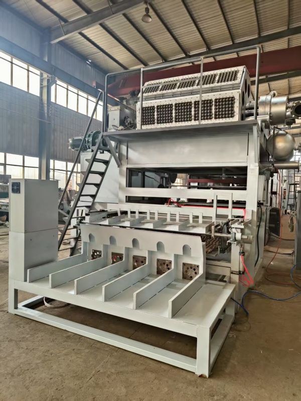 Recyclebare papiermachines met grote capaciteit 1500 st/u-6000 st/u eiertraymachine eierdoos productielijn