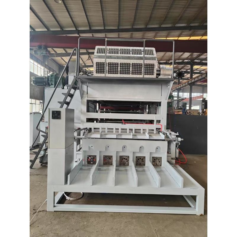 1 Jaar garantie Ei Gebruik En Papier Pulp Materiaal Automatische Ei Tray Machine Productielijn Pulp Molding Machine