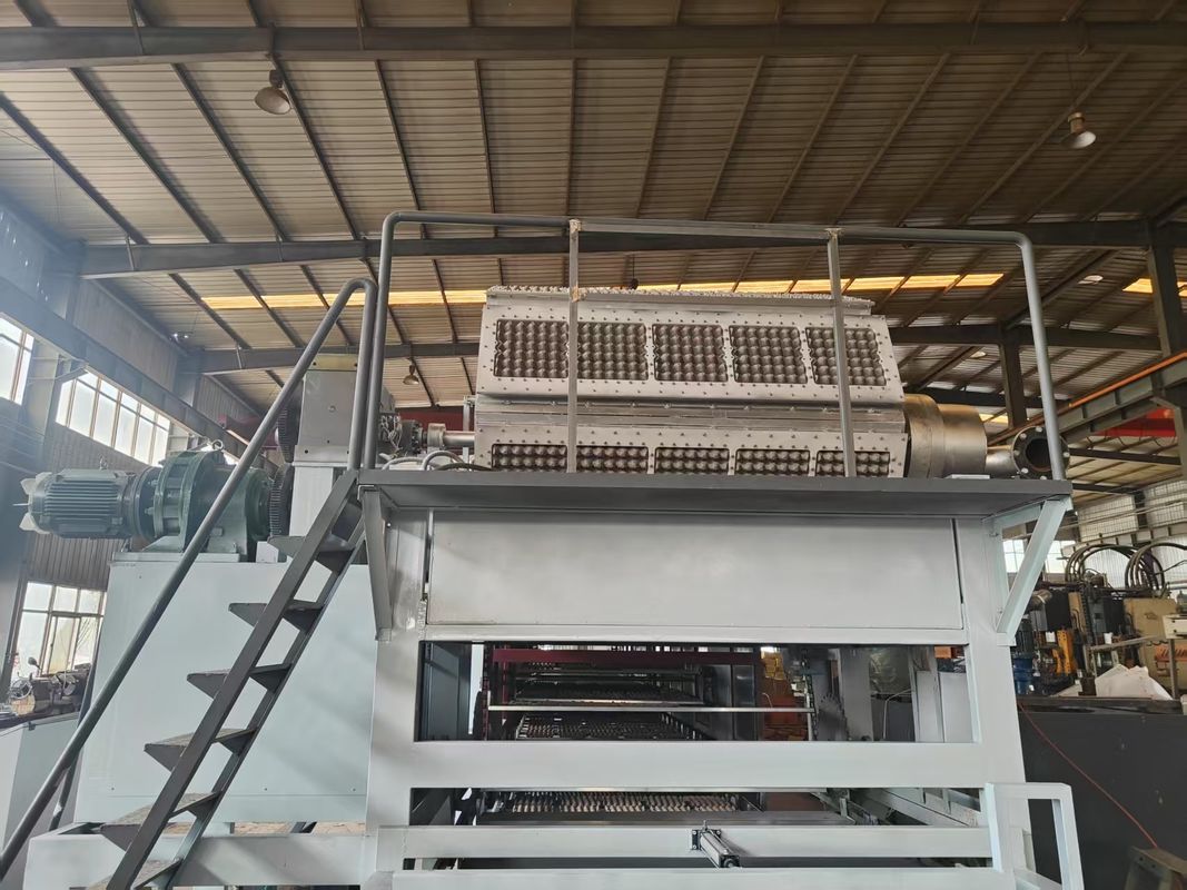 5000 stuks/uur Rotary Egg Tray Production Line Incorporating Automatic Stacking and Drying Technology for Streamlined Manufacturing PLC controlled