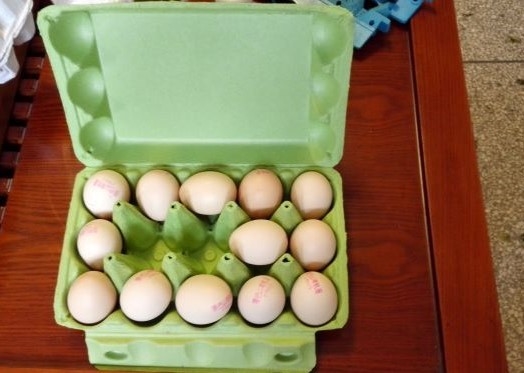 Paper Egg Tray Machine Kleine capaciteit Gemakkelijke installatie Productielijn voor het maken van eierkarton