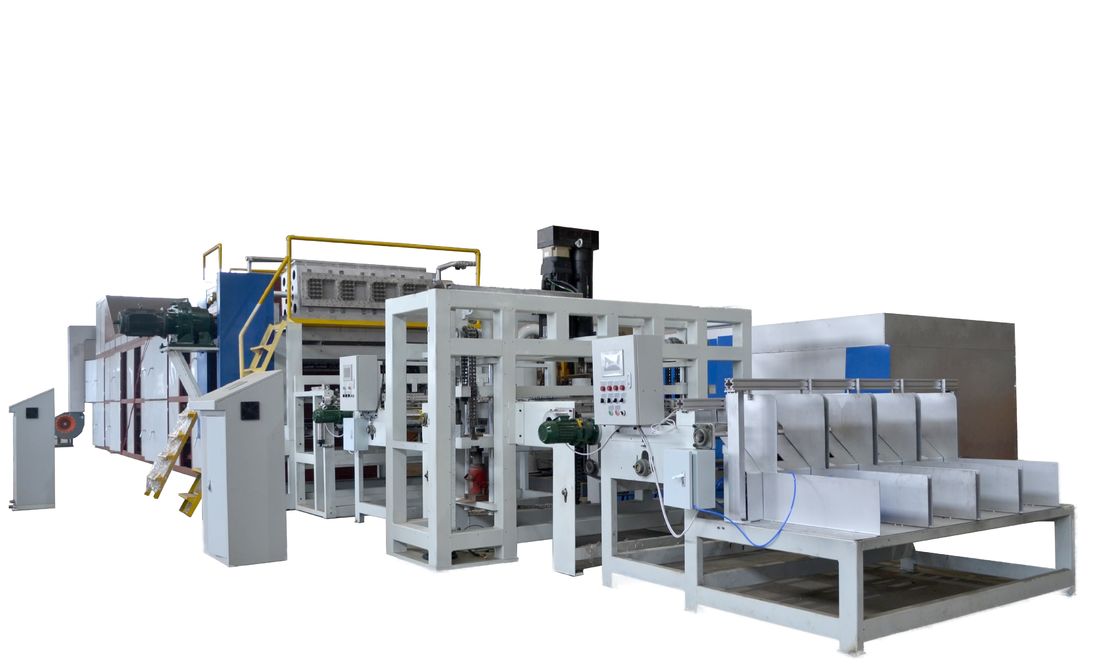 5000 stuks/uur Rotary Egg Tray Production Line Incorporating Automatic Stacking and Drying Technology for Streamlined Manufacturing PLC controlled
