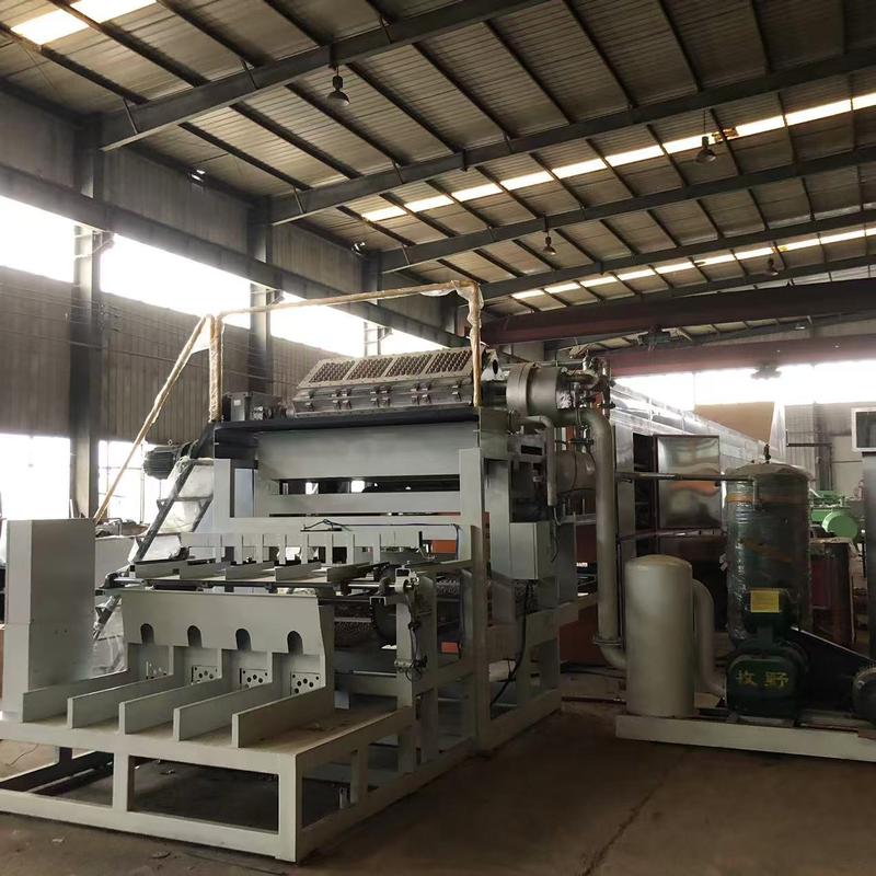 Volledig automatische machine voor het maken van eierenbakken, ondersteunt aangepaste vormgroottes en snelle vervanging voor verschillende verpakkingsbehoeften 2500-3000pcs/h PLC-besturing