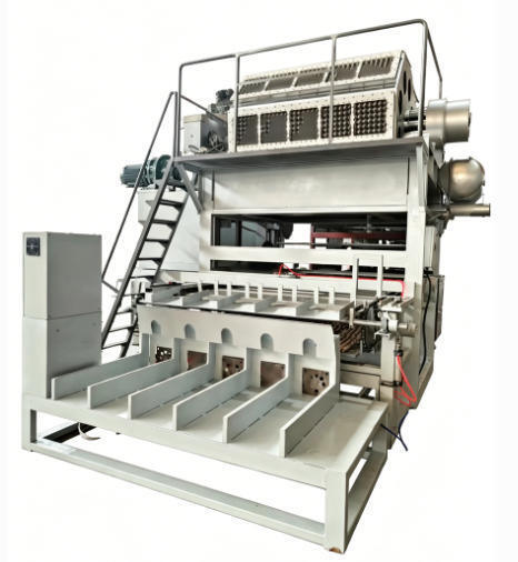 Rotary 5000pcs/h Paper Egg Tray Production Line Machine Met Complete Pulping Forming Drogen En Automatic Stacking Systems Voor Paper Egg Tray Egg Carton Apple Trays maken met 5*8 Forming Molds