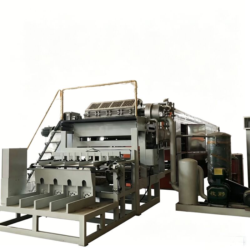 2000-3000PCS/H Rotary Egg Tray Machine | Stable Medium-Capacity Equipment for Growing Factories