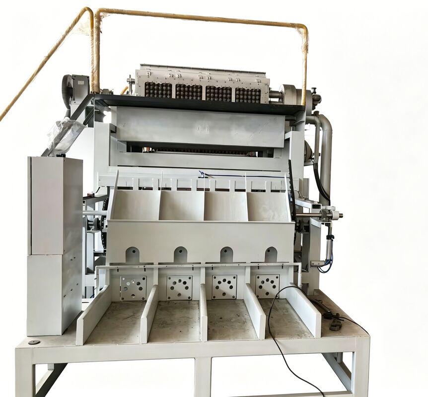 2000-3000PCS/H Rotary Egg Tray Machine | Stable Medium-Capacity Equipment for Growing Factories
