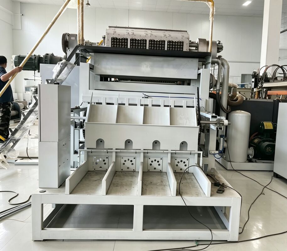 WANYOU WY-R1 Rotary Egg Tray Forming Machine 2000-2500 pcs/h Recycled Paper Pulp Molding for Mexican Poultry Farm