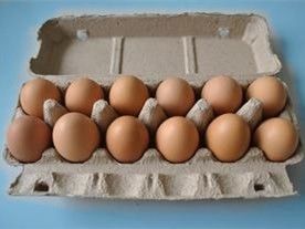 PLC-besturing Rotary Type Egg Carton Maker Egg Carton Machine Productielijn Eetbakvormmachine