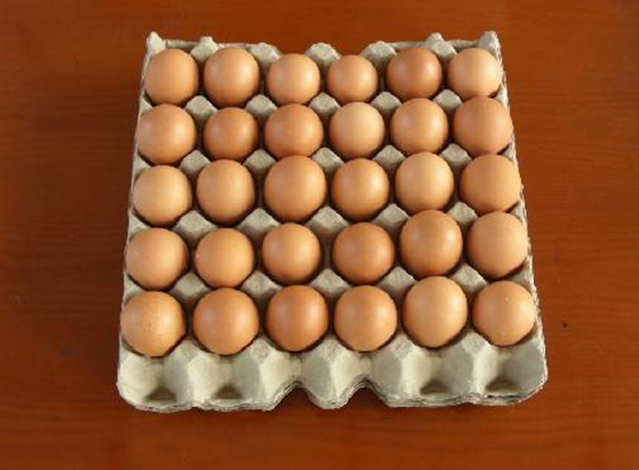 350-700pcs/h de klein Capaciteitsdocument Dienbladen van Tray Making Machine For Fruit/Schoendienblad