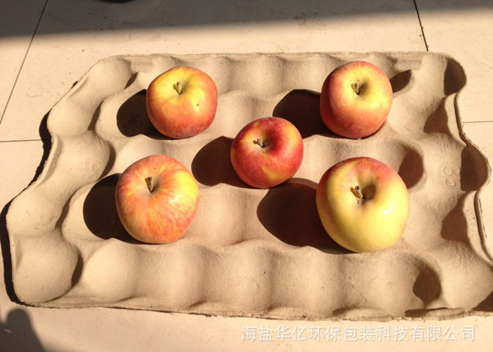 Paper Fruit Apple Tray Making Machine Eier Tray Machine Eier Carton Making Machine Pulp Molding Machine Met levenslang onderhoud