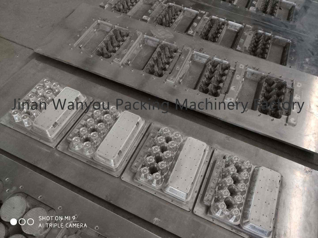 De populaire aangepaste van het het kartonei van het 6 gatenei van de het dienbladproductielijn machine van de het eidoos