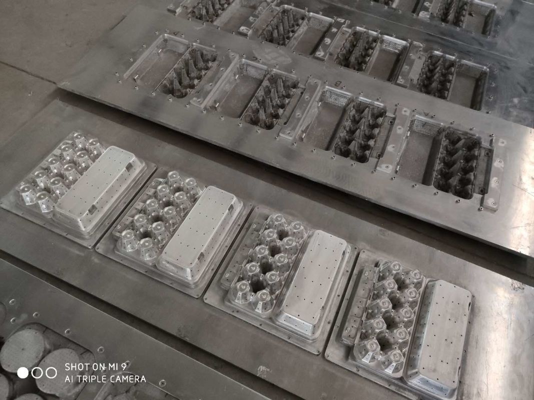 Het Dienbladmachine 20 van het papierei de Vorm van de Holtepulp voor Gevormde Pulpproducten