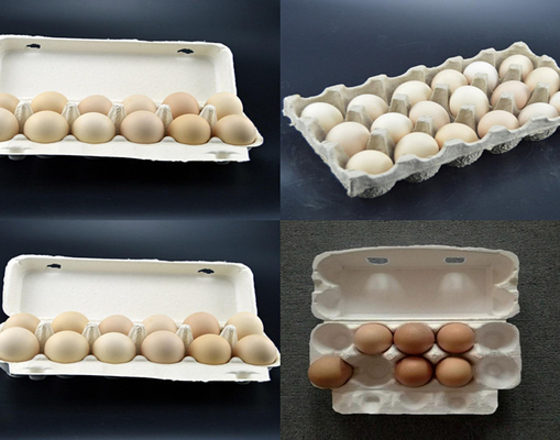 6s/Cycle Pulp Egg Tray Making Machine met PLC-besturingssysteem