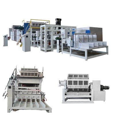 Nieuwe Groothandel WANYOU Automatische Gerecyclede Papieren Eierdoos Machine Pulp Vormmachine PLC Besturing Touchscreen Paneel Lager Motor Tandwiel