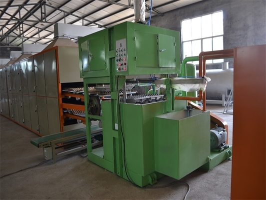 De Productielijn van het het Eidienblad van het afvalkarton/het Dienblad die van het Pulpei Machine maken