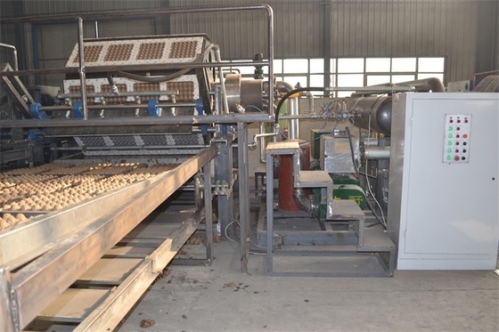 Het Dienblad van het papierei Productiemachine/Pulp Vormende Machine 2 Jaar Garantie