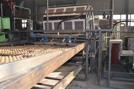 De grote Machine van het de Pulpafgietsel van het CapaciteitsPapierafval voor Ei Verpakkingskarton het Maken