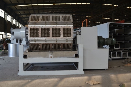 OEM het Eikarton van de Papierpulp het Maken Machine, Eikrat die Machine maken