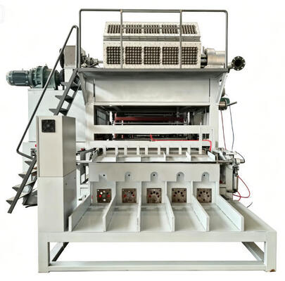 Rotary Paper Egg Tray Machine Productielijn Eierkarton 5000 stuks/uur Recycled Paper Pulp Molding voor Mexicaanse pluimveehouderij