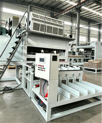 Draaibare eiertraymachine Afvalpapier Recyclingmachine