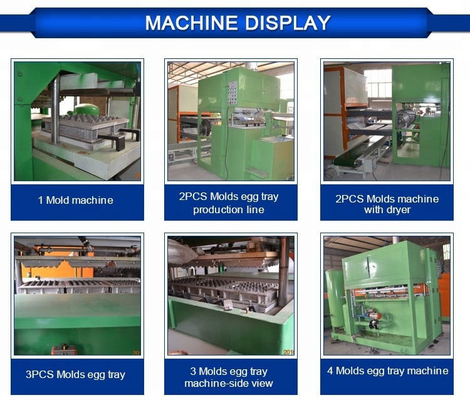 Ei Tray Mould Pulp Tray Machine met Plc Kabinet 2 Jaar Waarborg