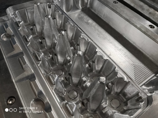 OEM van het Eitray mold van het 30 Gatenaluminium Pulpvorm