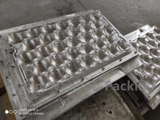De gevormde van de het Papierpulp van de Pulpcontainer Kleine Vormende Machine met Aluminiumvormen